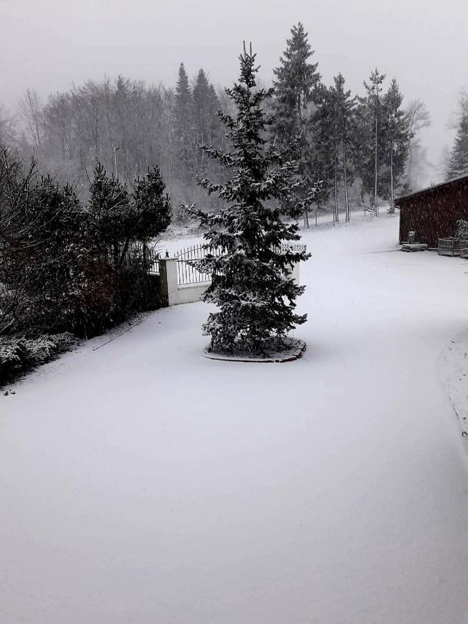 Ferienwohnung Im Westerwald Mengerskirchen Buitenkant foto
